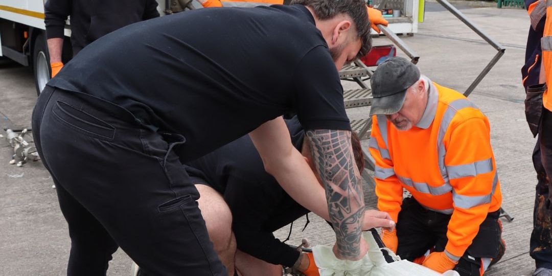 S1E November 2024 Socials